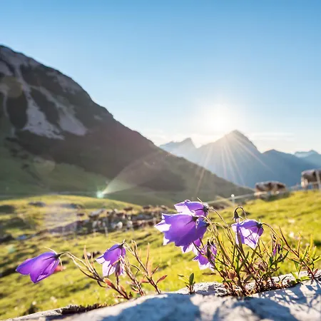 Hubertus Tirol 1-8 Personen Holiday home