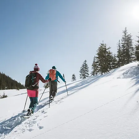 Hubertus Tirol 1-8 Personen Pill