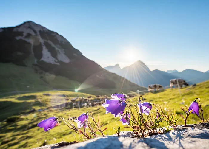Hubertus Tirol 1-8 Personen Nyaraló