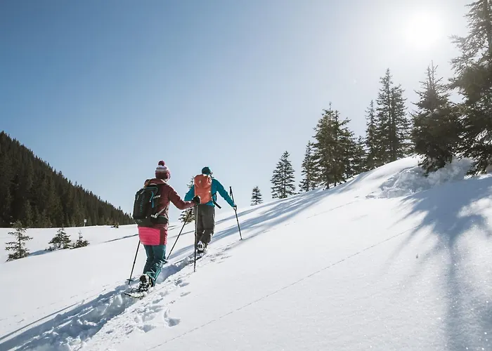 Hubertus Tirol 1-8 Personen Pill