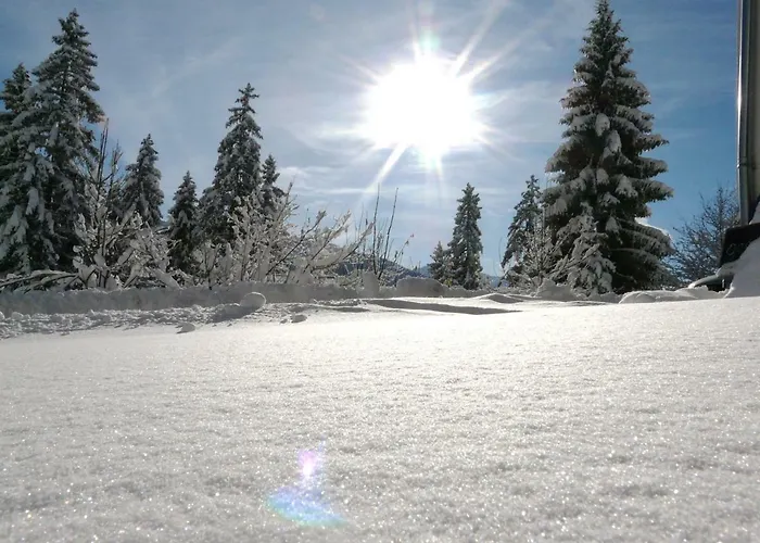 Hubertus Tirol 1-8 Personen *