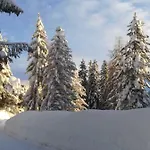 Hubertus Tirol 1-8 Personen * פיל